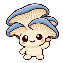 Blue Oyster Mushroom Liquid Culture